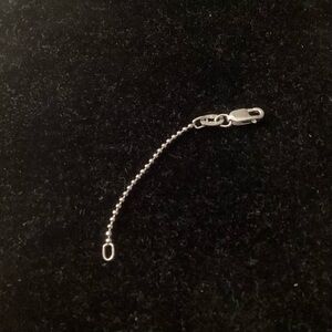 Alex Woo 2” Sterling Silver Extender Chain